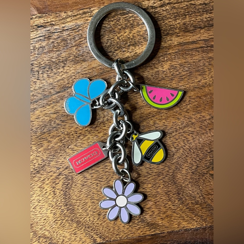 Coach Multicolor Enamel Charm Keychain - Blue, Pink, Yellow, Purple